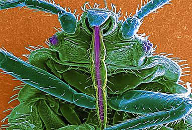 国产恐怖游戏《烟火》遭剧本杀侵权 官方回应
